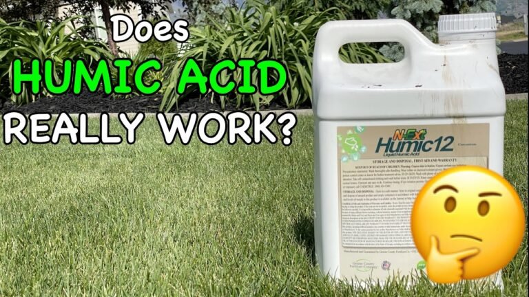 The Best Timeframe for Humic Acid's Effectiveness