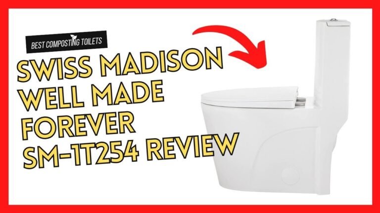 The Best Swiss Madison One Piece Toilet: A Well-Made Forever Fixture