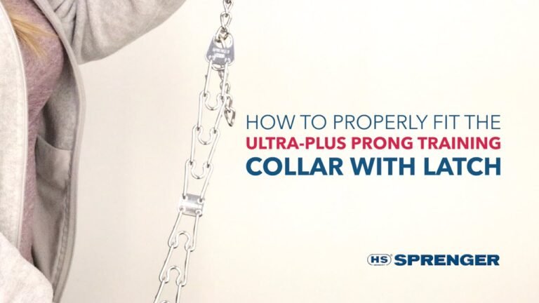 The Best Herm Sprenger Ultra Plus Prong Dog Training Collar: A Comprehensive Guide