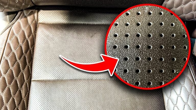 The Best Way to Clean Urine from Perforated Leather Car Seats
